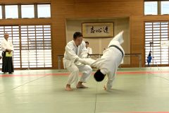 5-scaled